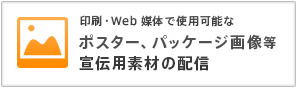 Web ΤǻѲǽʥݥѥåǺۿ